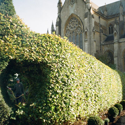 garden maintenance service / grounds maintenance | Haynes Horticulture